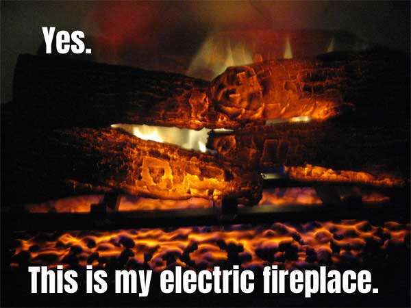 Photo of the Realistic Flames, Logs and Embers  in My Dimplex Electric Fireplace